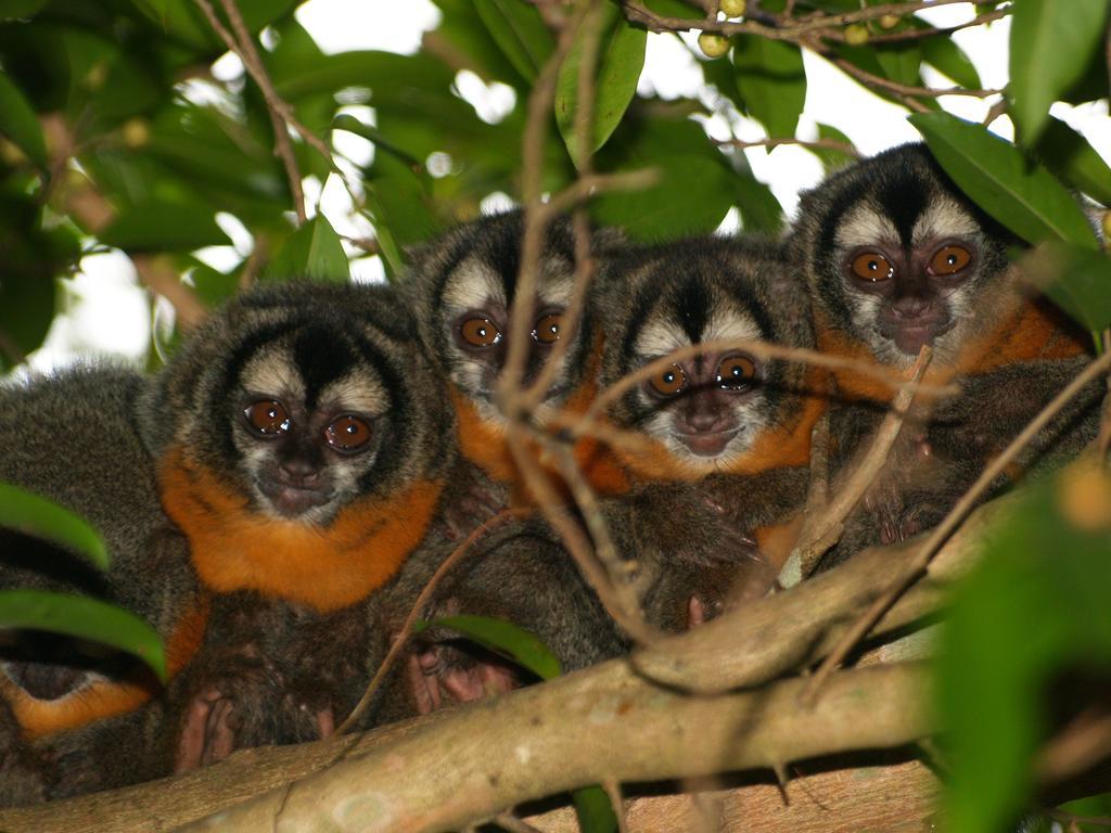 Pousada Do Rio Mutum Barao de Melgaco Экстерьер фото